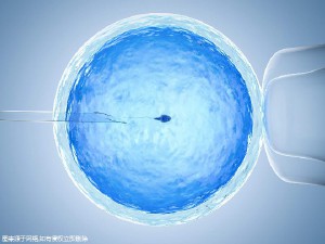 周顾问